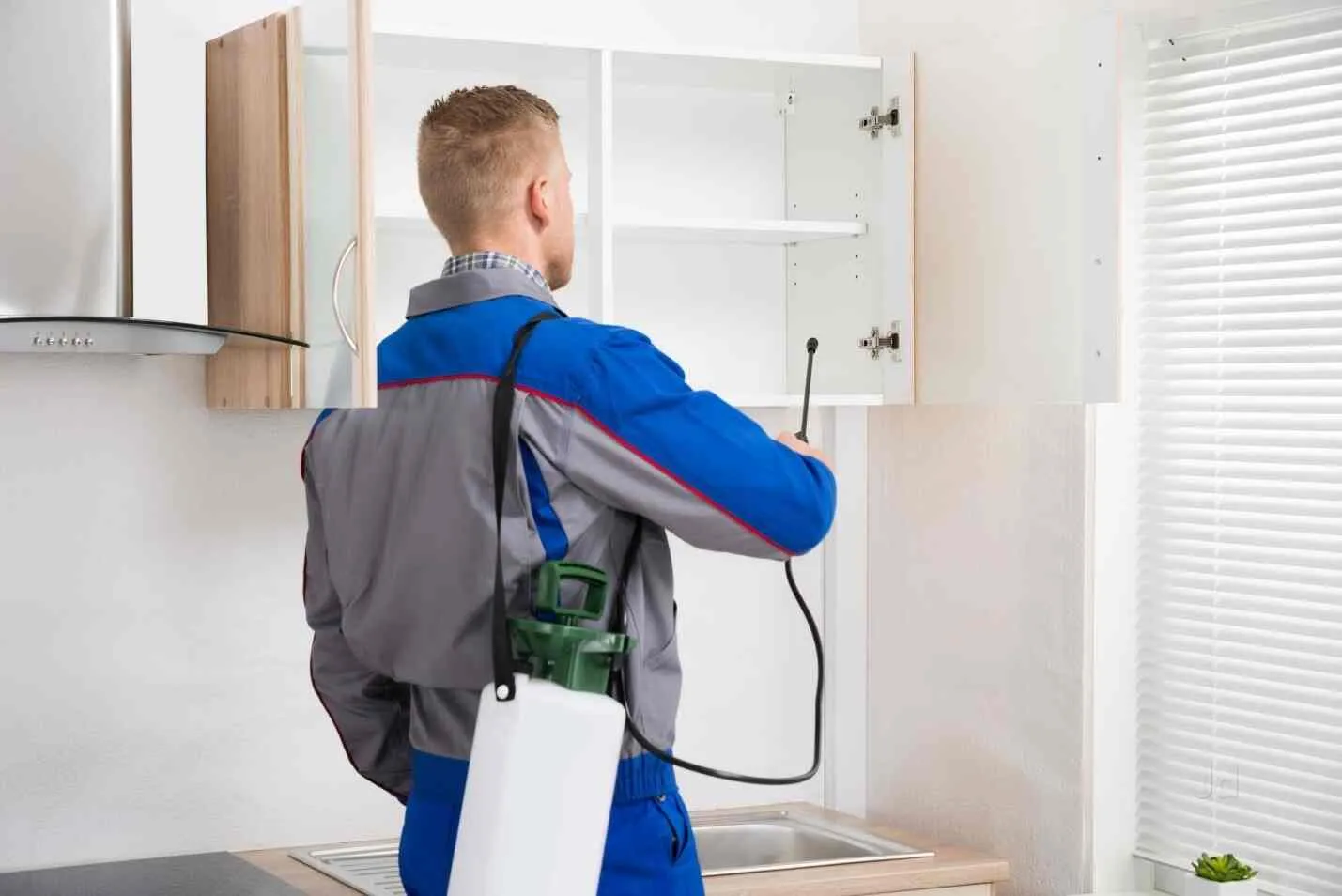 2 Bathroom & Kitchen Pest Control (Excludes Utensil Removal)