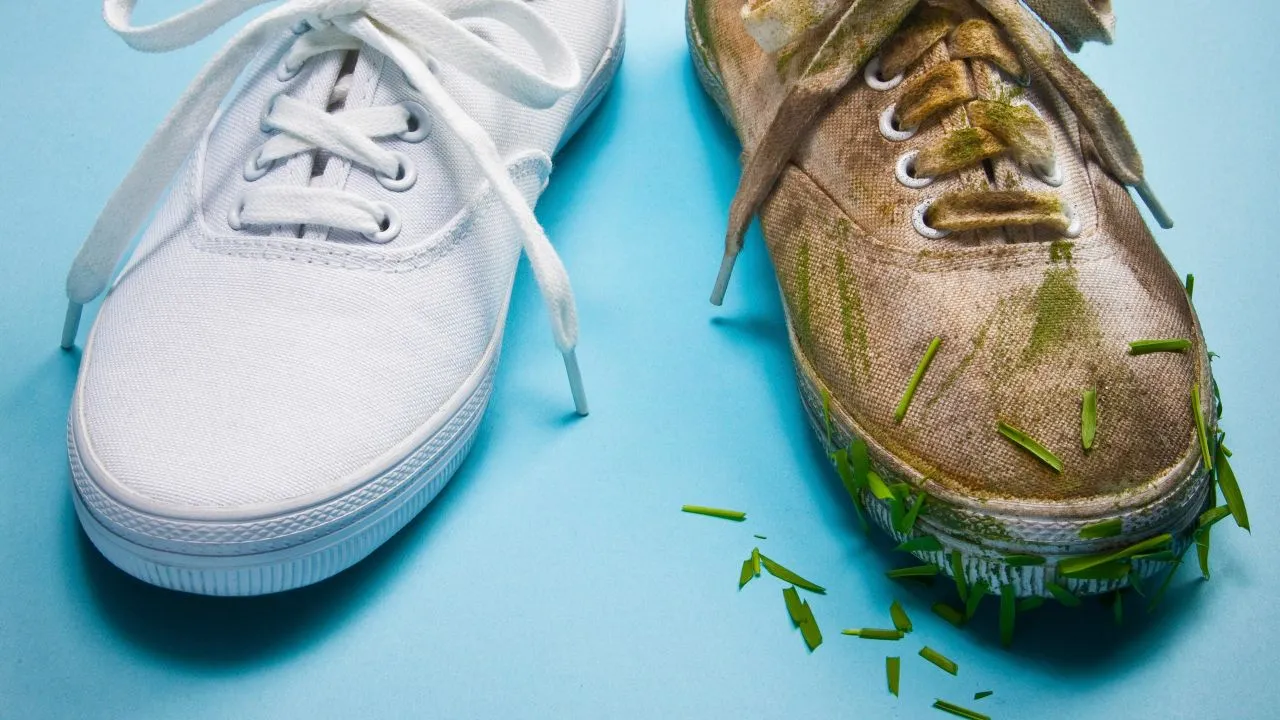 Shoe Cleaning Service