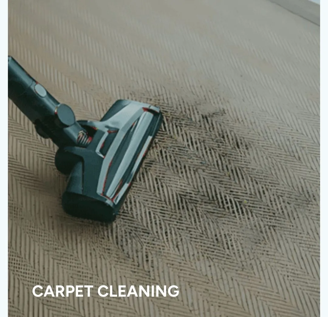 Carpet Cleaning
