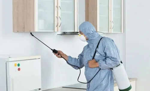 Kitchen Pest Control (Includes Utensil Removal)