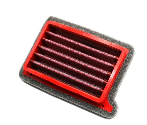 BMC Air Filter TRIUMPH TRIDENT 660 21 (FM01124)