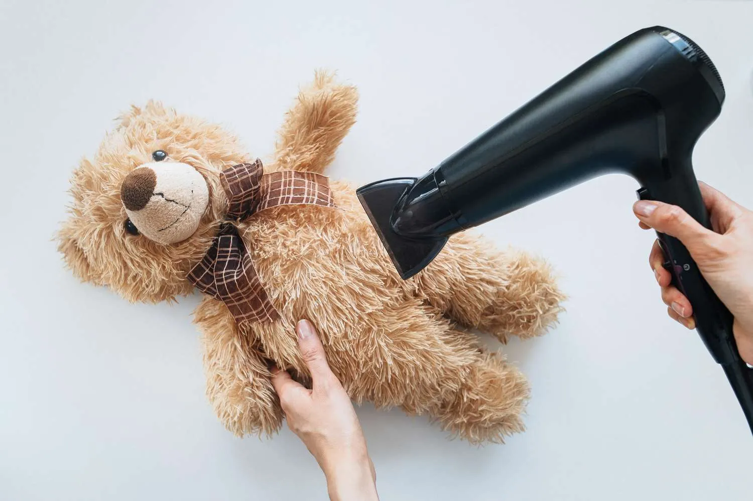 Teddy Bear Cleaning