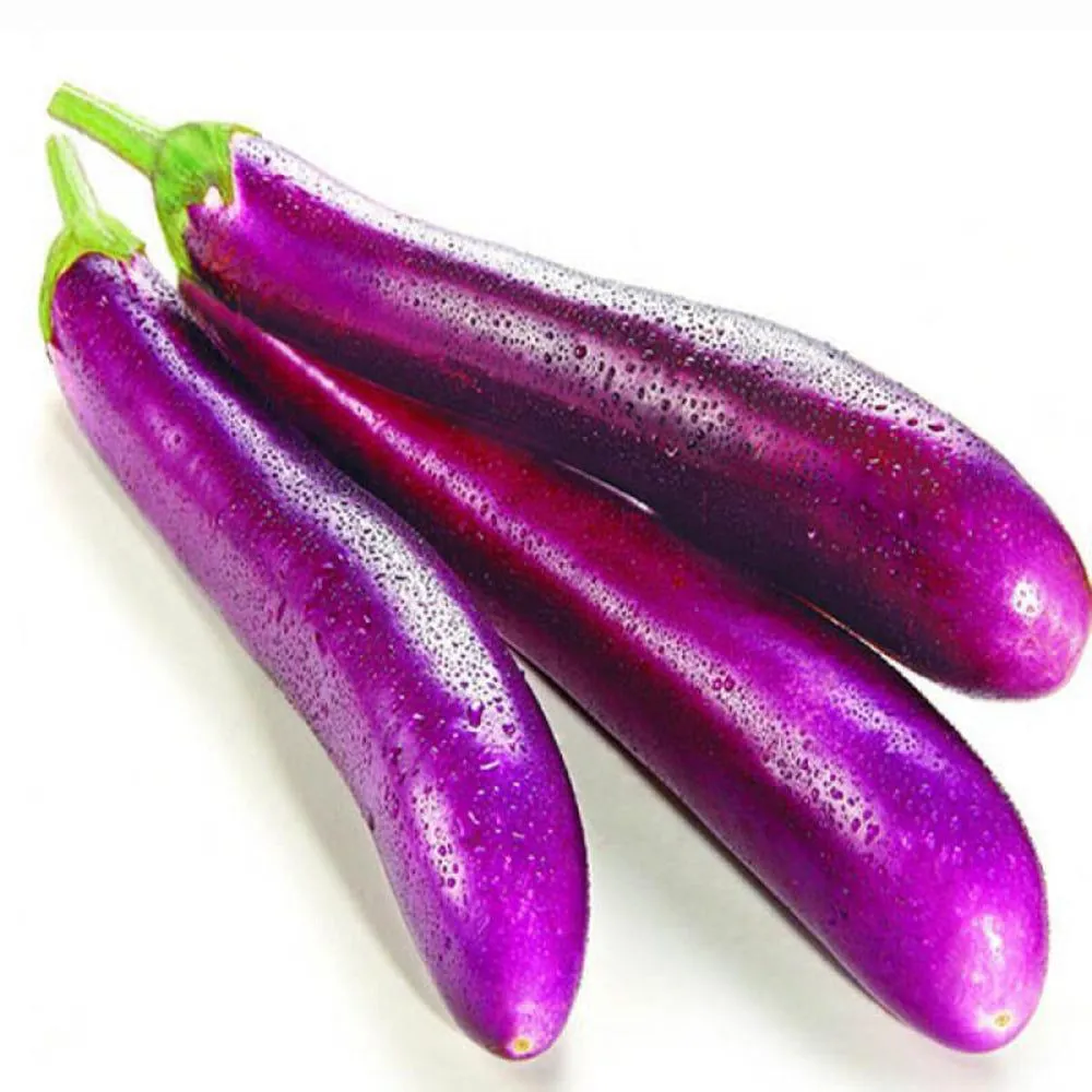 Long Purple Brinjal 1kh