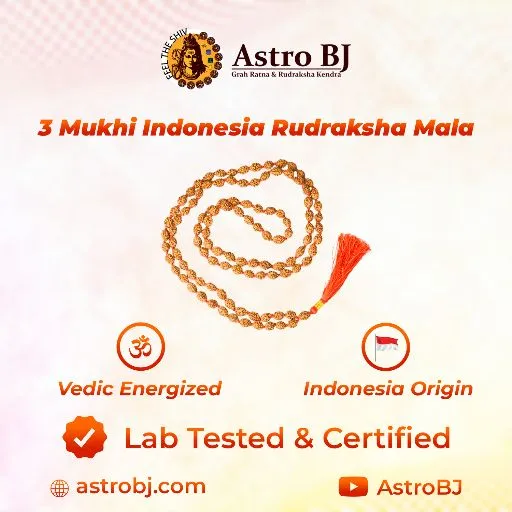 AstroBJ 3 Mukhi Rudraksha Mala "Siddh & Energised" A+++ Quality view 4