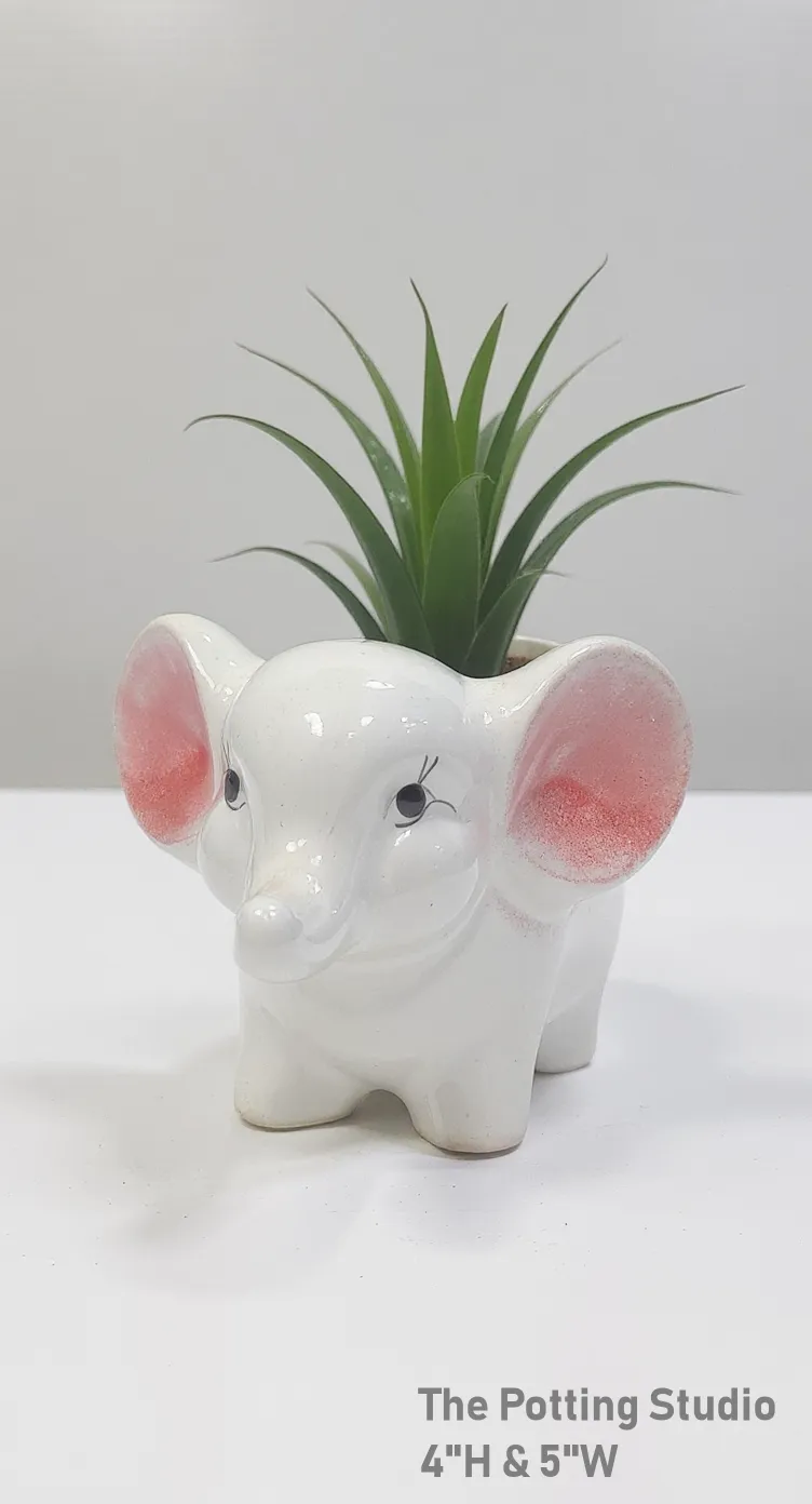Ceramic Elephant Planter 4"H & 5"W