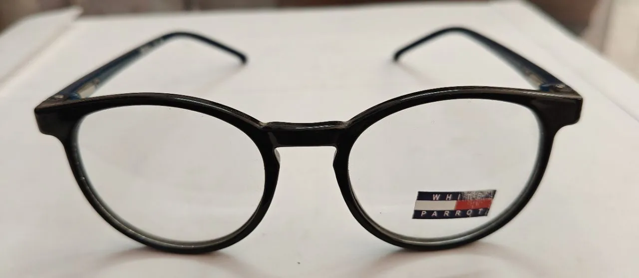 Whimsy Parrot Eyeglasses