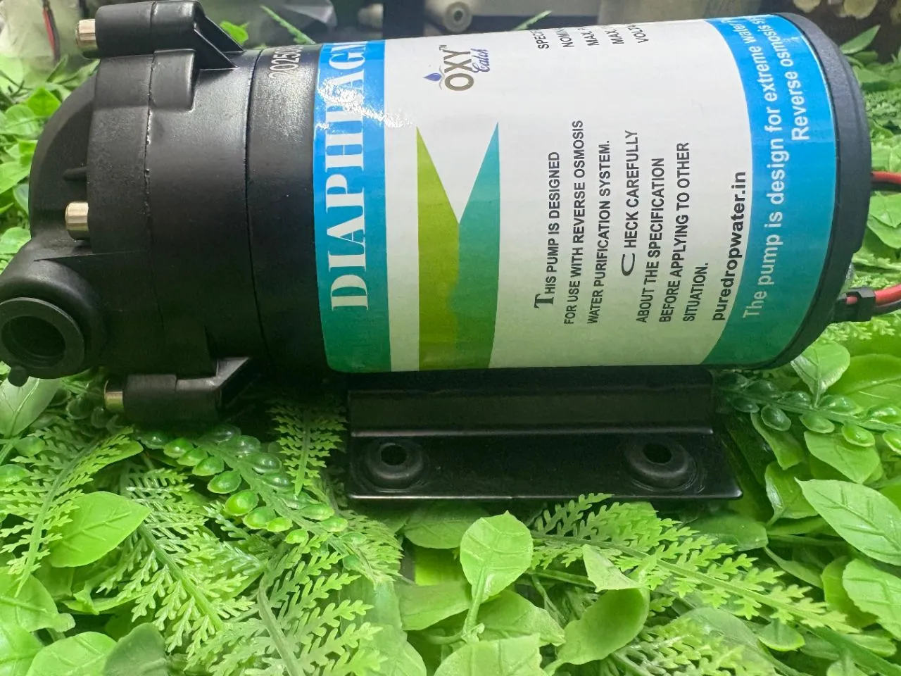 Diaphragm Booster Pump Oxy Catch 100 GPD view 4