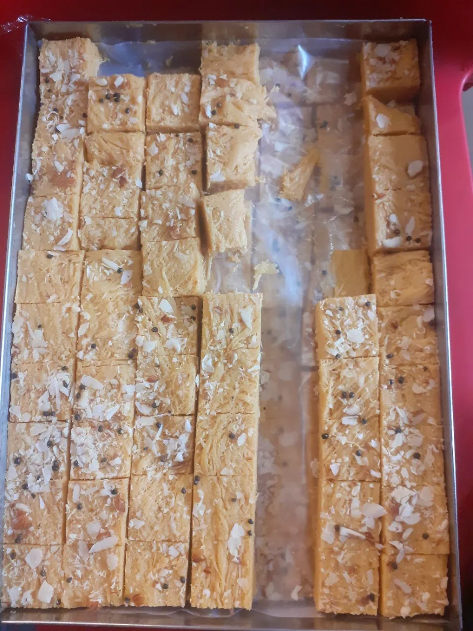 Patisa