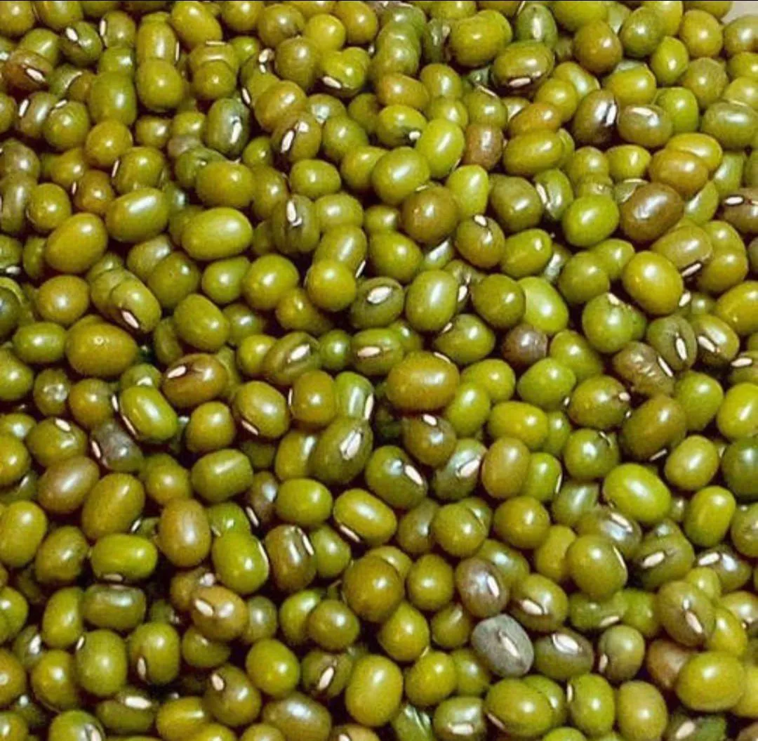 Nf urad green dal sabul 500G