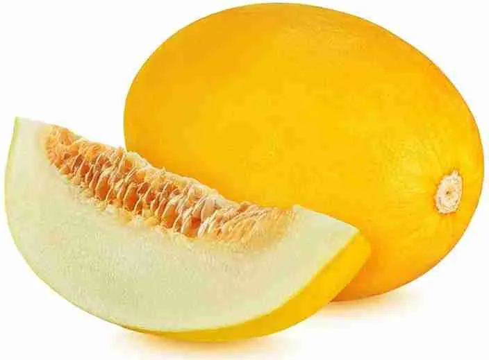Honeydew Melon