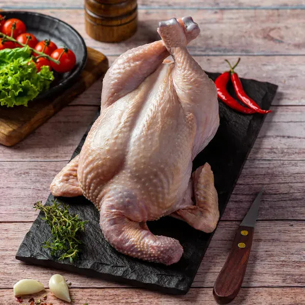 Spring Chicken view 2