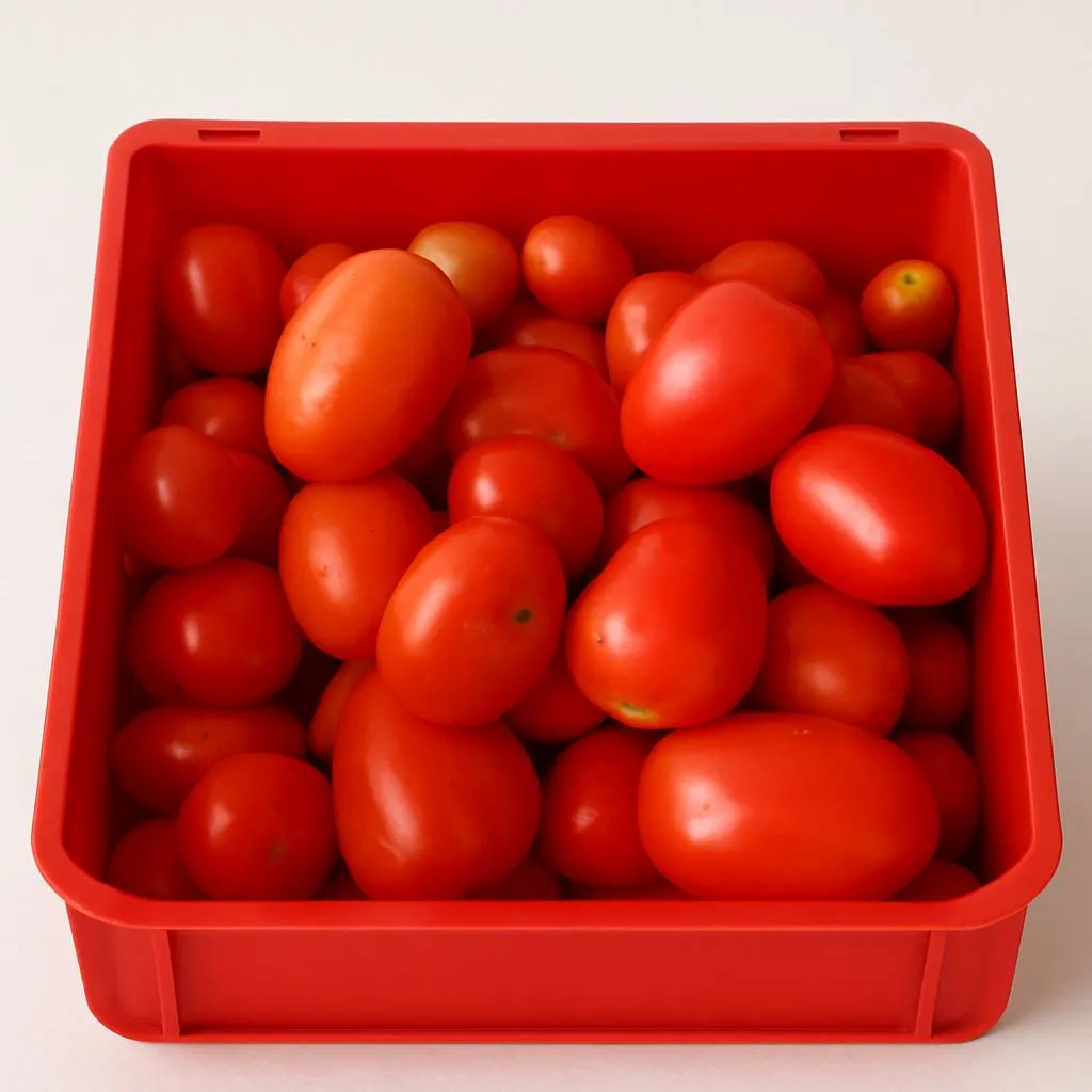 Hybrid Tomatoes 1kg