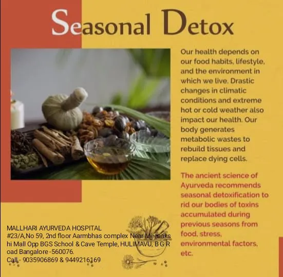 Seasonal Detox view 2