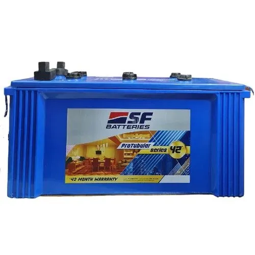 SF Batteries ProTubular Series 42
