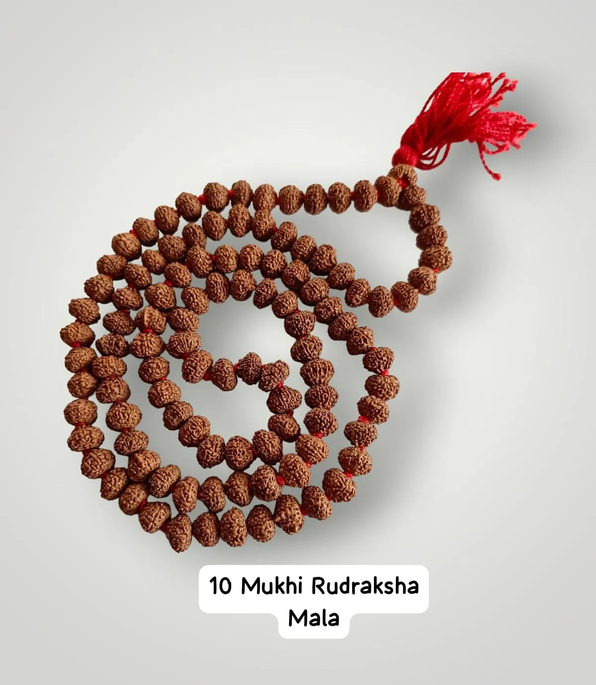 AstroBJ 10 Mukhi Rudraksha Mala "Siddh & Energised" A+++ Quality view 2