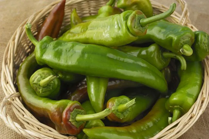 Big Green Chili मोठी मिर्ची 100gms