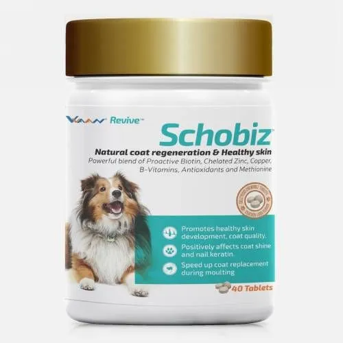 Schobiz Tablet