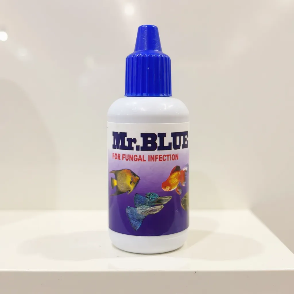 Mr. Blue for Fungal Infection
