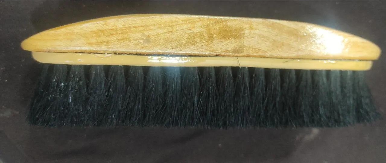 Shoe Brush