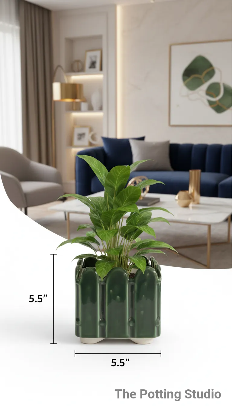 Green Ceramic Planter 5.5"H & 5.5W