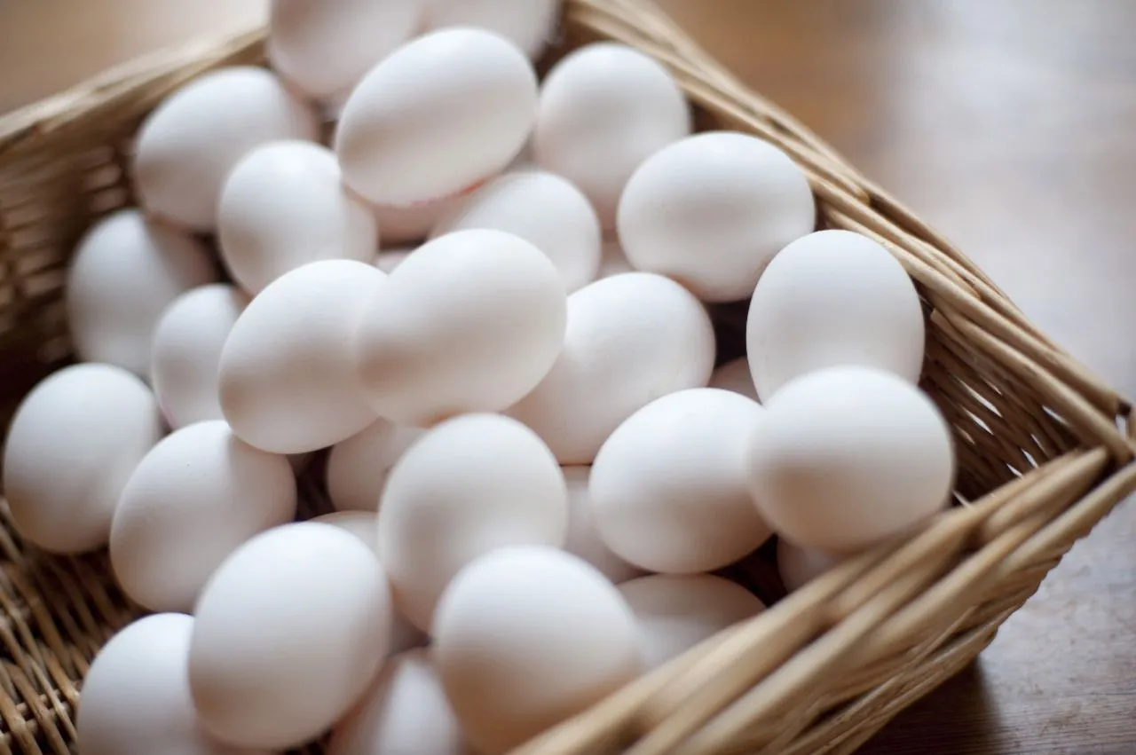 Fresh White Eggs 6 Pieces