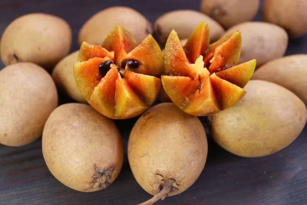Chikoo चीकू 1 Kgm