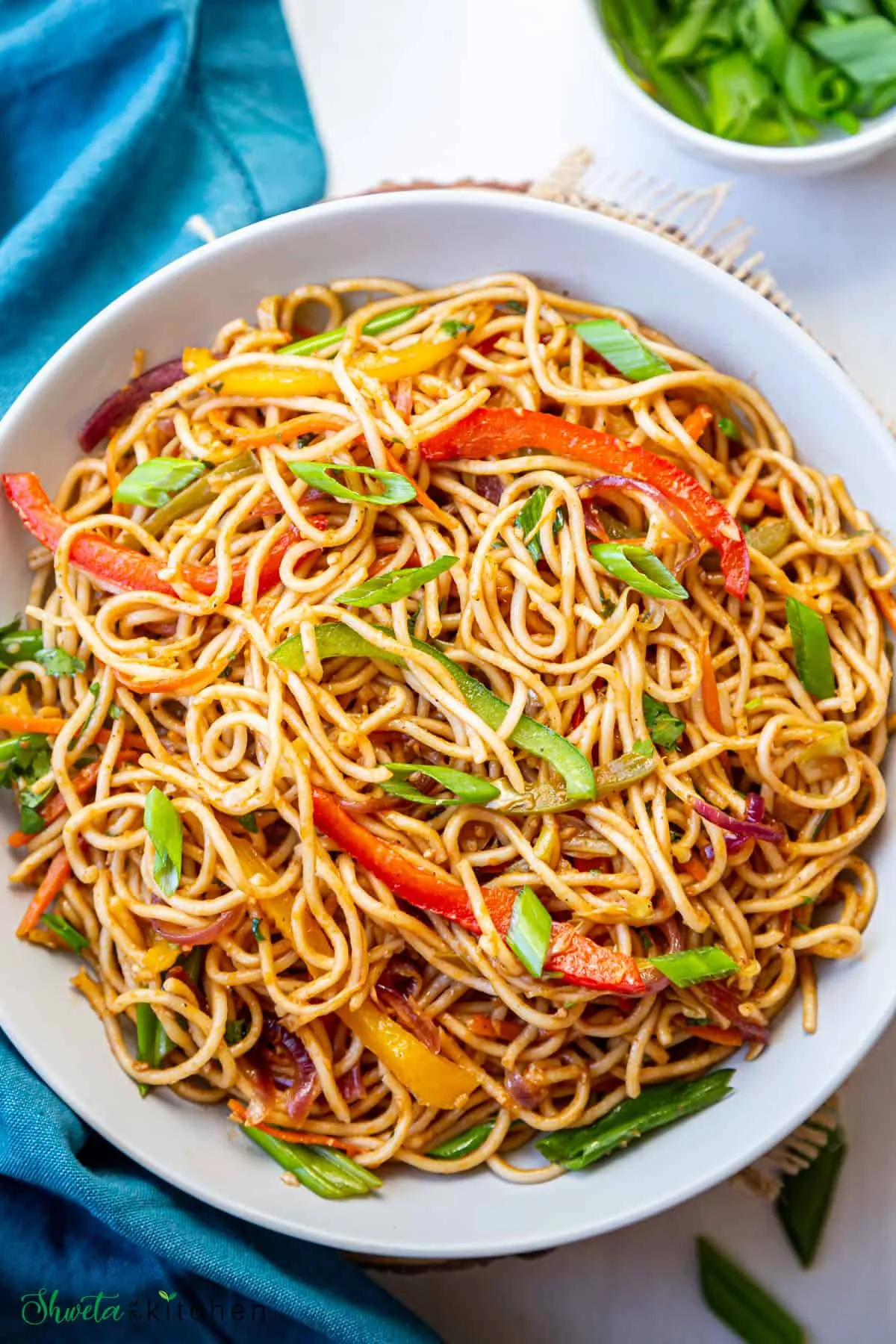 Veg Hakka Noodles