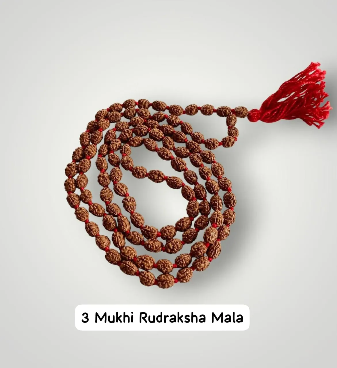 AstroBJ 3 Mukhi Rudraksha Mala "Siddh & Energised" A+++ Quality view 2