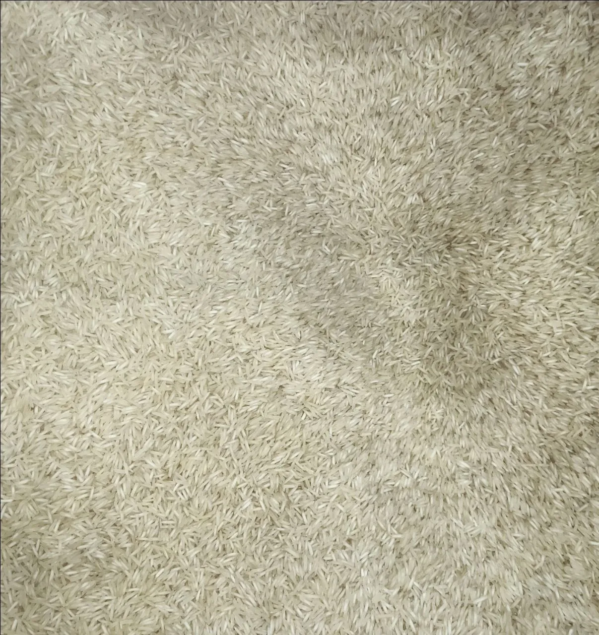 Basmati XXL Rice Loose 5kg