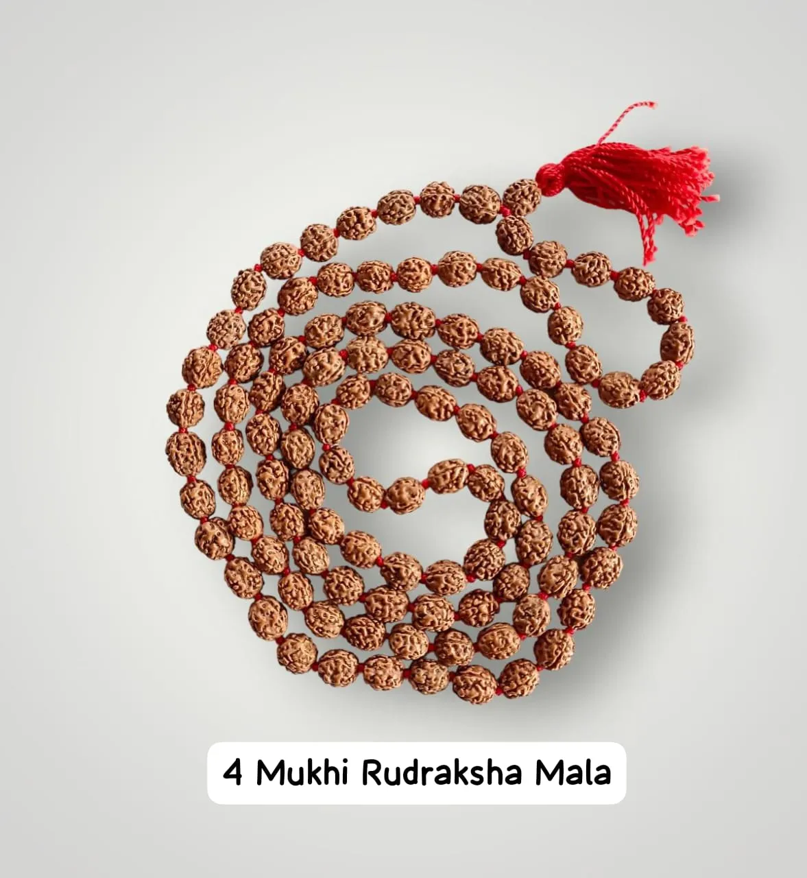 AstroBJ 4 Mukhi Rudraksha Mala "Siddh & Energised" A+++ Quality view 2