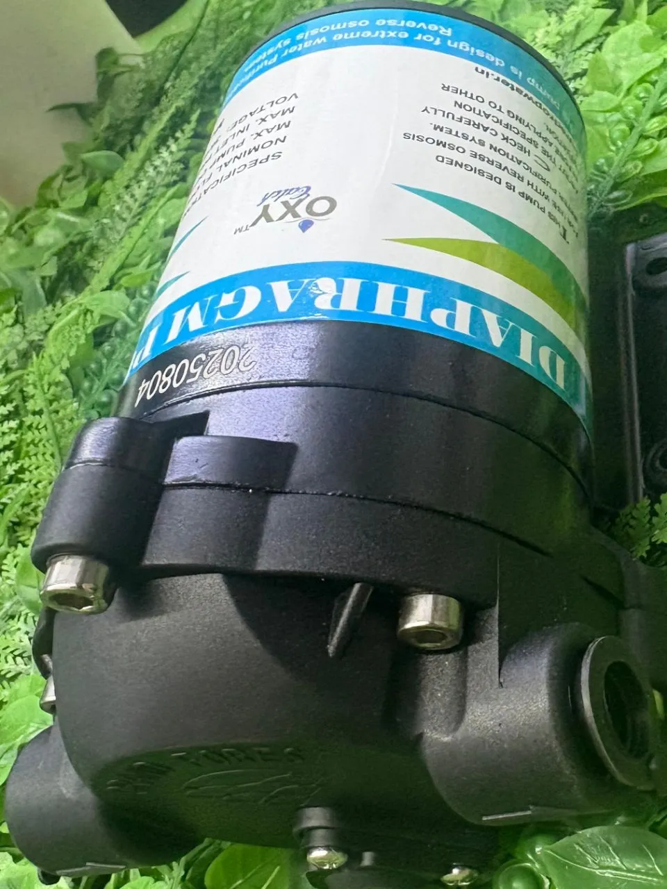 Diaphragm Booster Pump Oxy Catch 100 GPD view 3