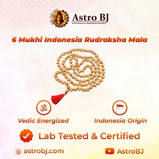 AstroBJ 6 Mukhi Rudraksha Mala "Siddh & Energised" A+++ Quality view 5
