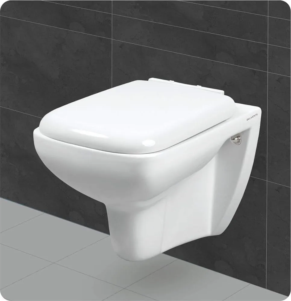 Western Toilet Installation / Replacement - Wall Mounted