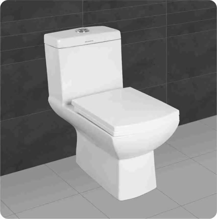 Western Toilet Installation / Replacement - Floor Mounted