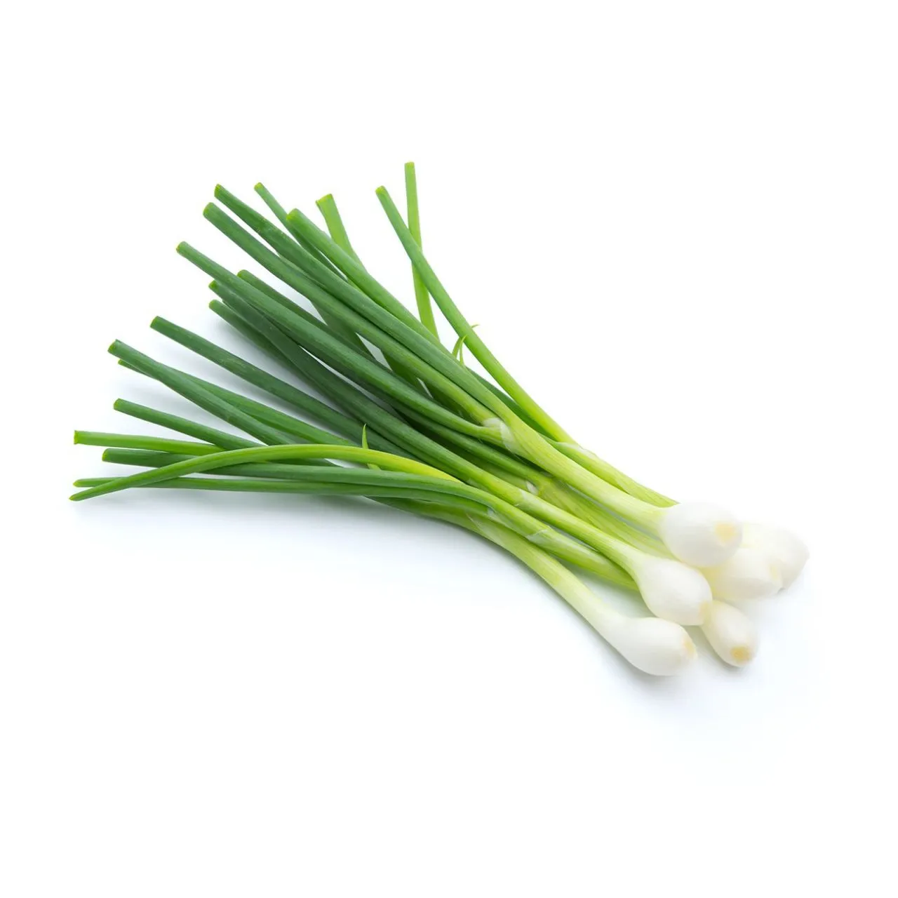 Fresh Green Onions 250g