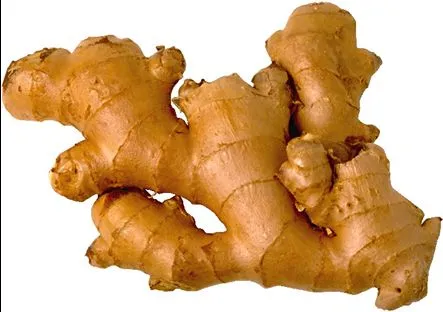 Fresh Ginger New 100g