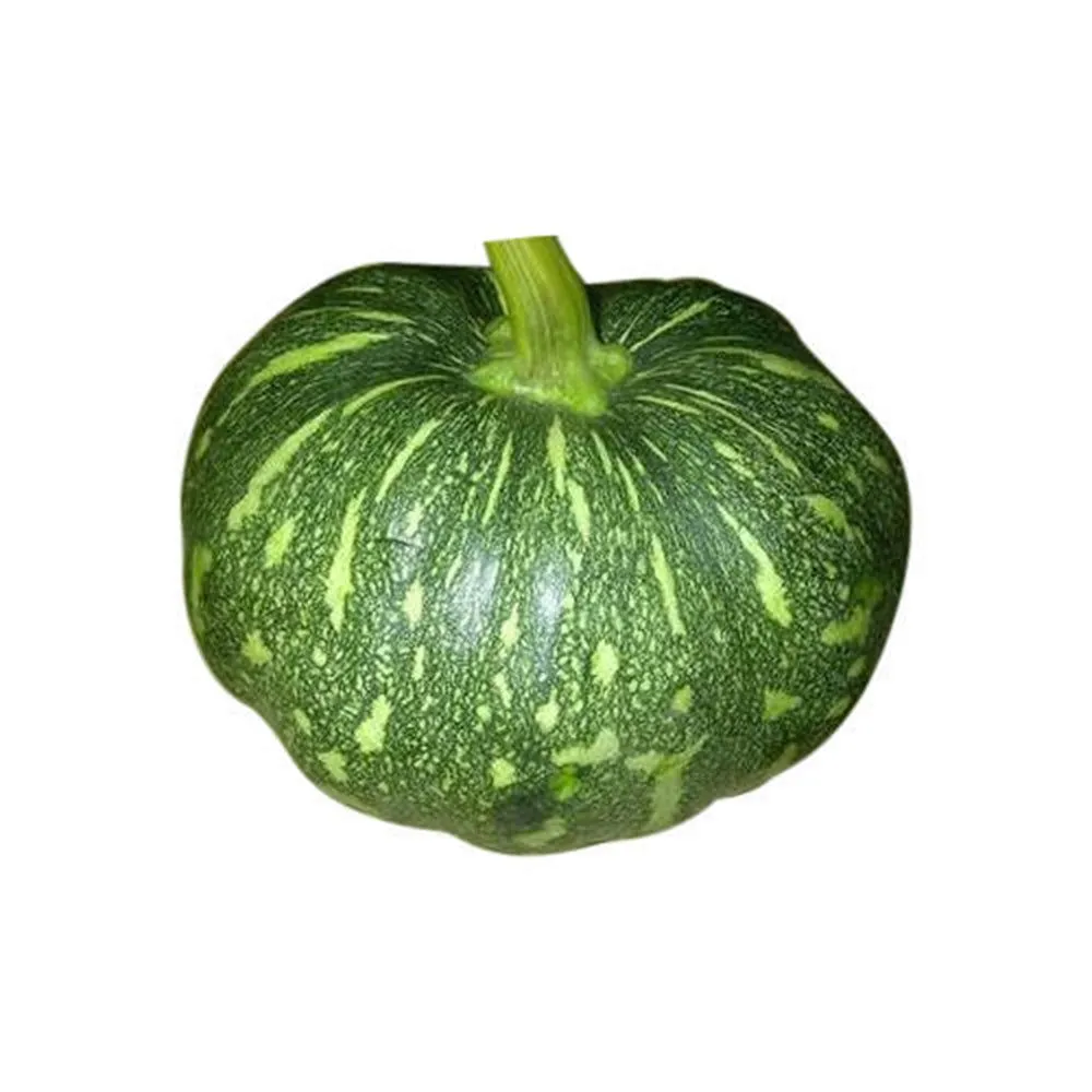 Green Pumpkin 1kg