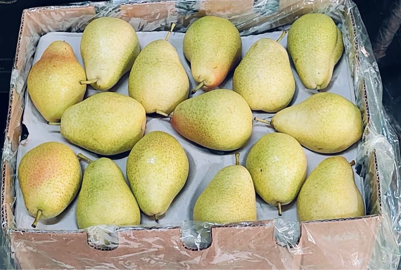 Fresh Pears Per KG