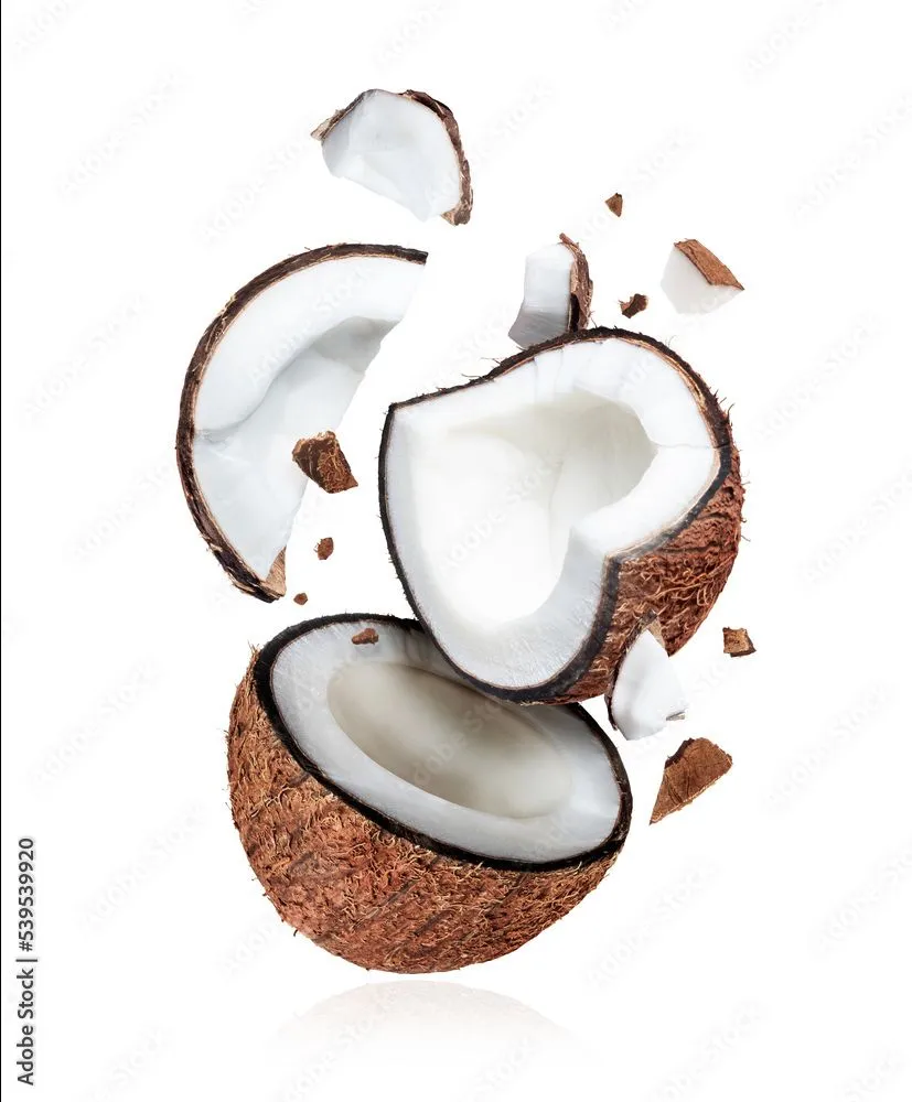 Broken Fresh Coconut नारळ टुकड़े