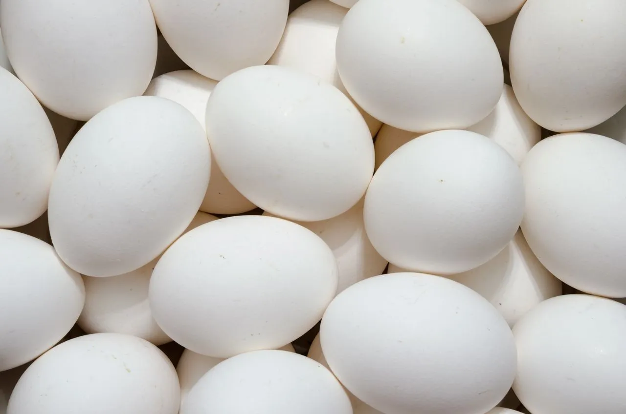 Fresh White Eggs 12 Pieces