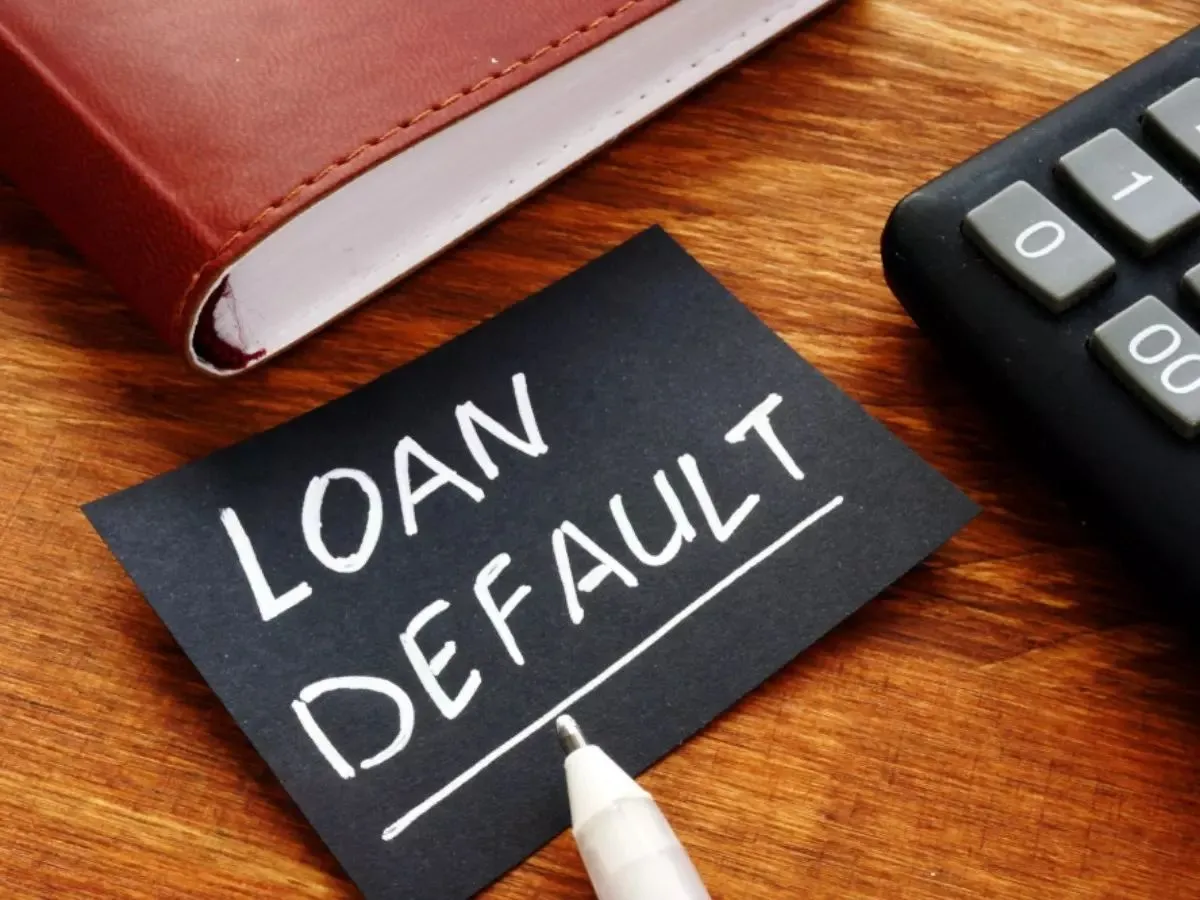 NPA Case Loan view 2