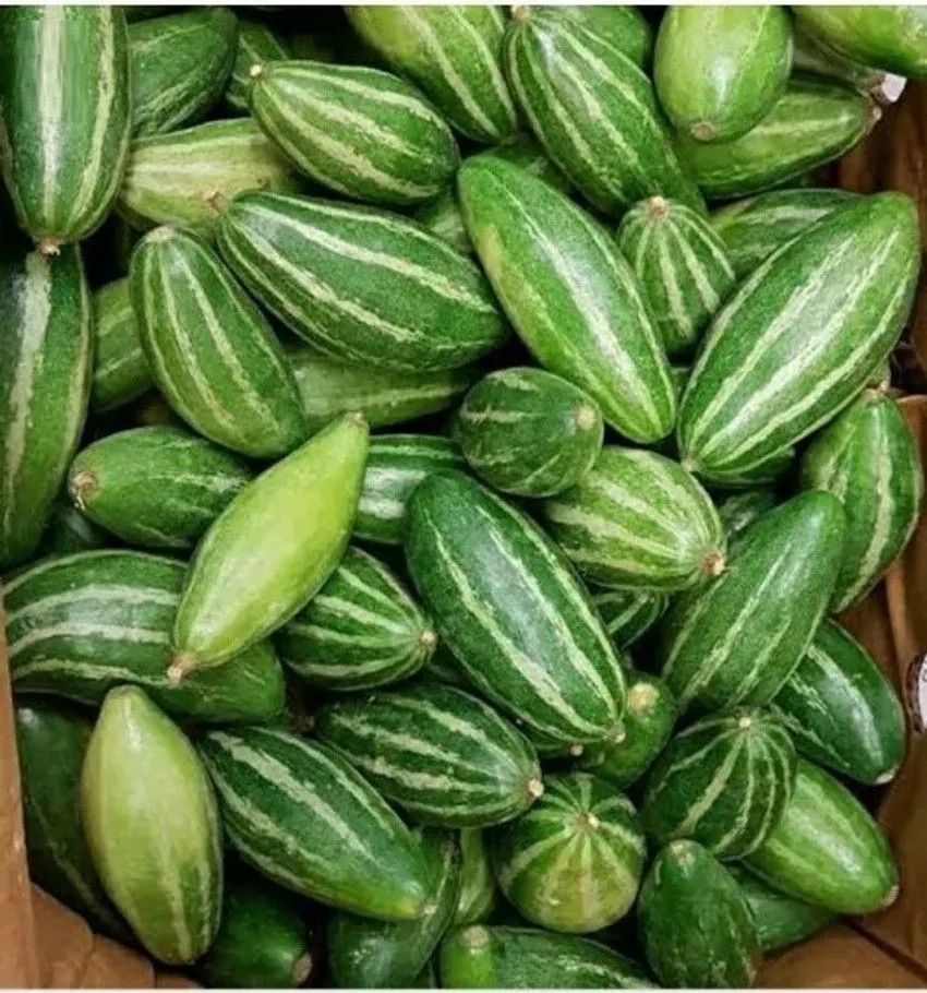 Pointed Gourd 500g
