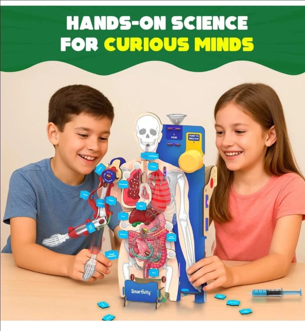 Smartivity Interactive Human Body view 3