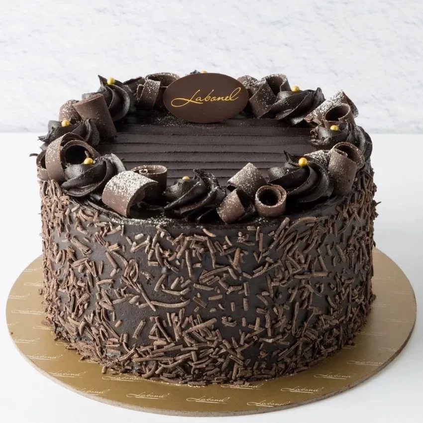 Choco Chip Cake 500 Gm