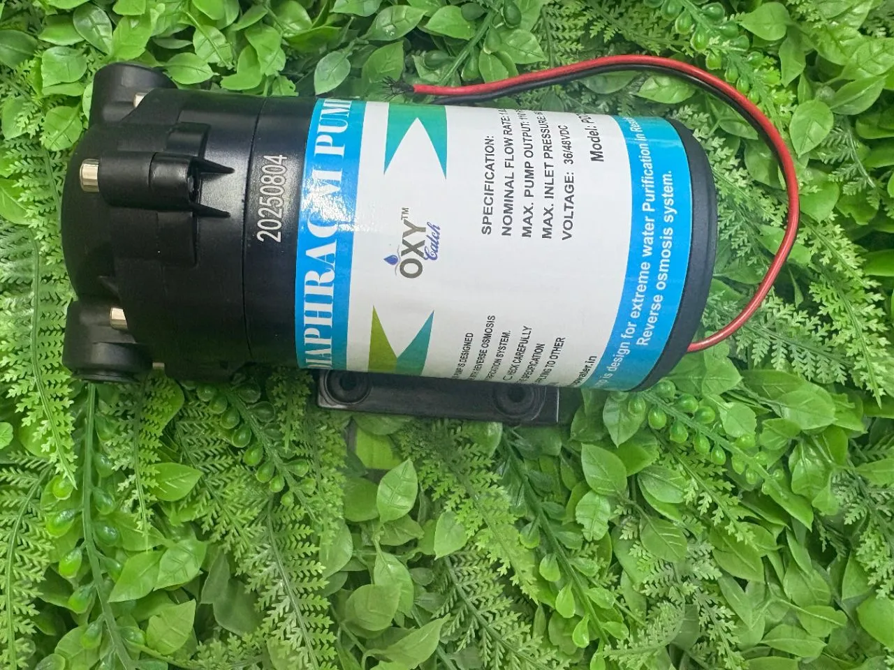 Diaphragm Booster Pump Oxy Catch 100 GPD