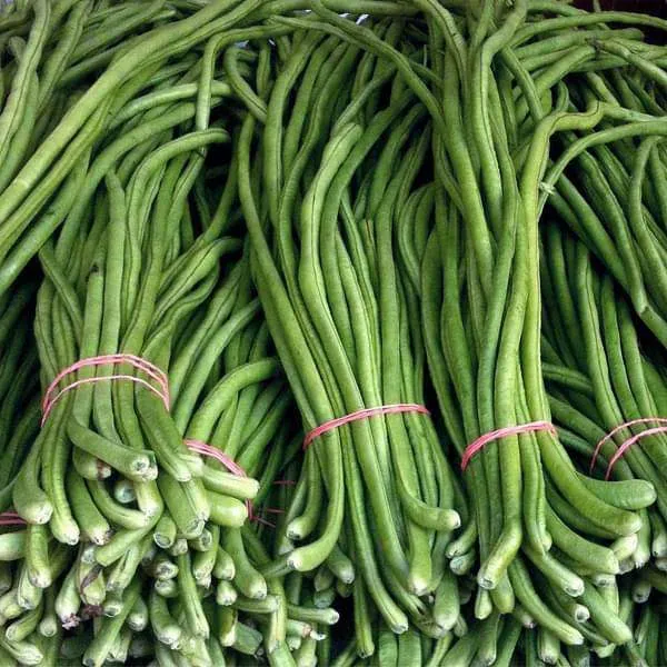 Fresh Lobia Beans 250g