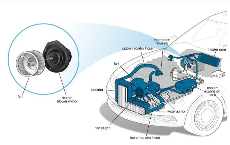 Auto Blower Motor