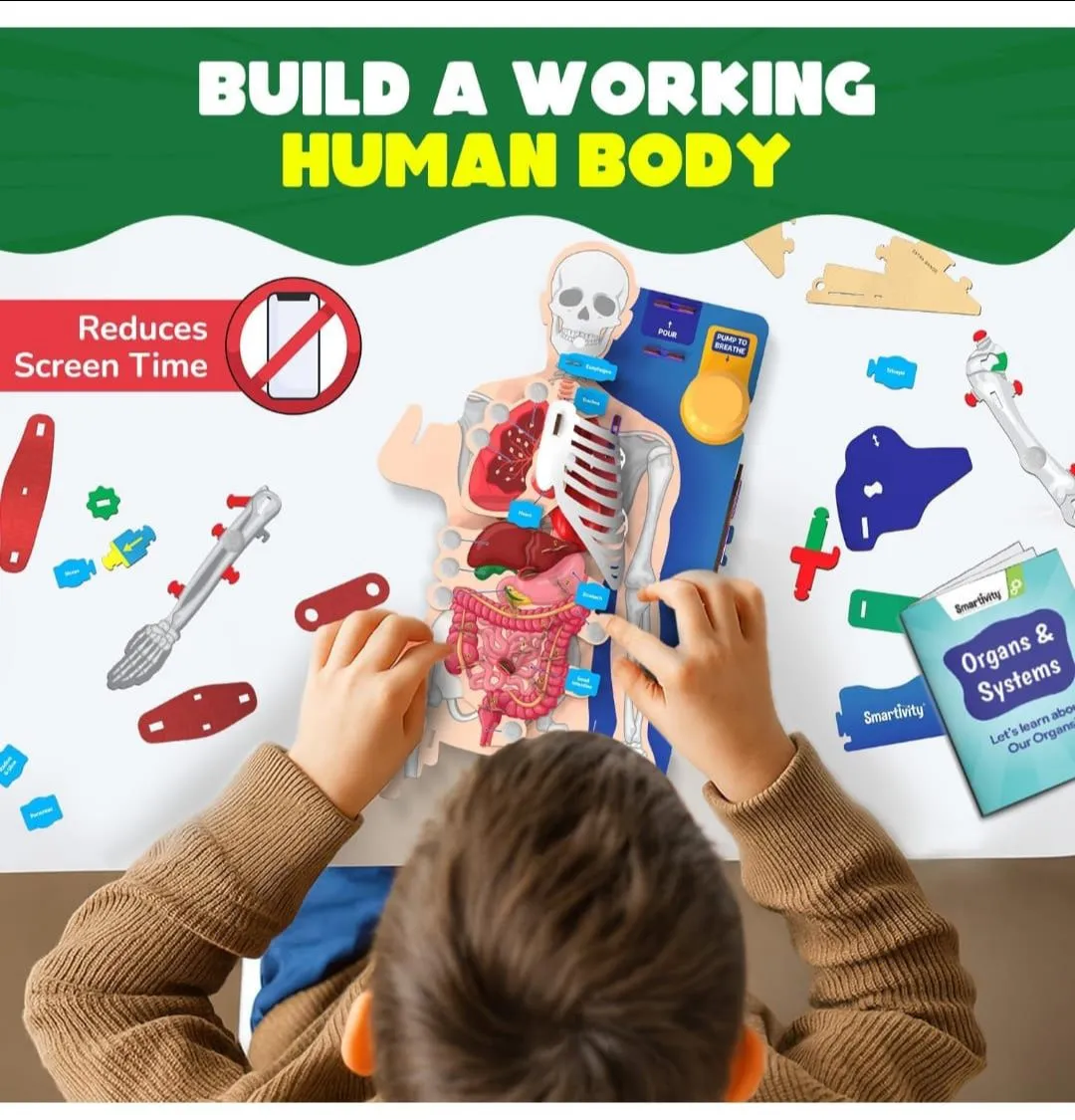 Smartivity Interactive Human Body view 4