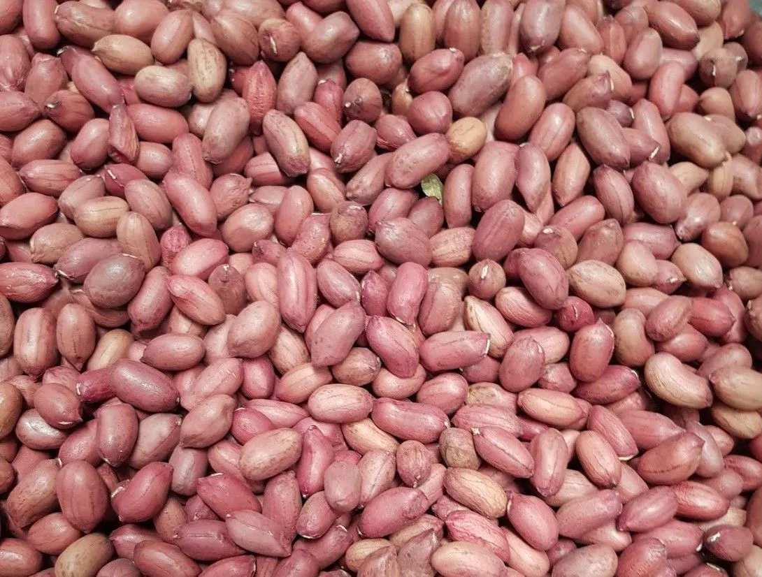 Raw Peanuts शेंग दाने 1 Kgm
