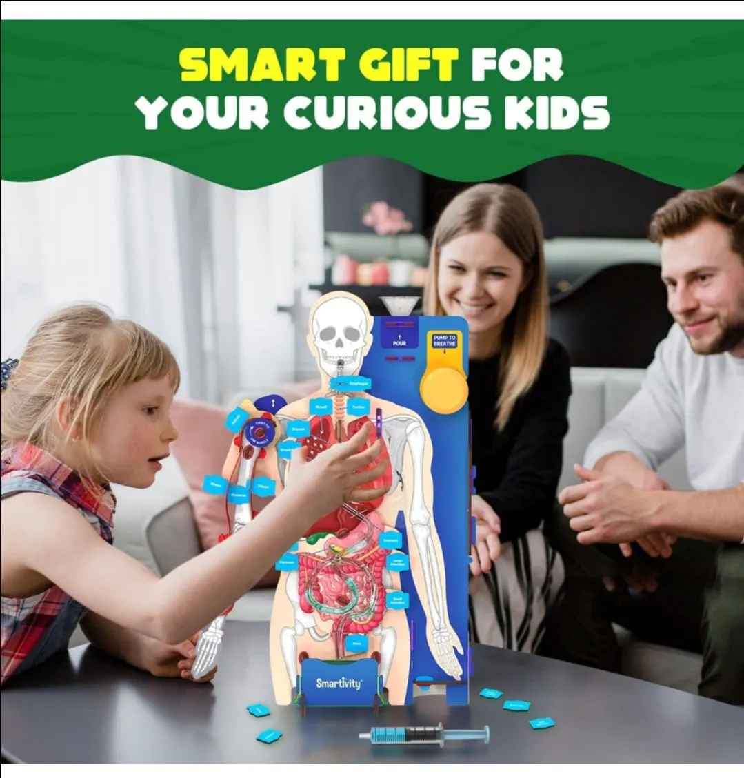 Smartivity Interactive Human Body view 2